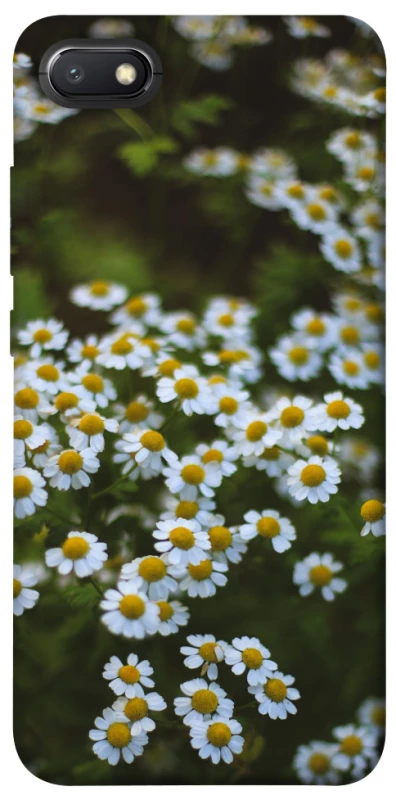 Чехол на Xiaomi Redmi 6A Ромашки v13 фото 1 из 1
