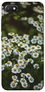 Чехол на Xiaomi Redmi 6A Ромашки v13 фото 1 из 1