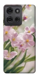 Чохол на Motorola Moto G75 Spring фото 1 з 1