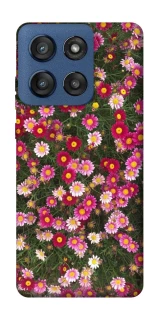Чехол на Motorola Edge 60 Stylus Flowers v8 фото 1 из 1