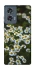 Чехол на Motorola Edge 50 Ромашки v13 фото 1 из 1