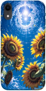Чохол на Apple iPhone XR (6.1") Sunflowers фото 1 з 1