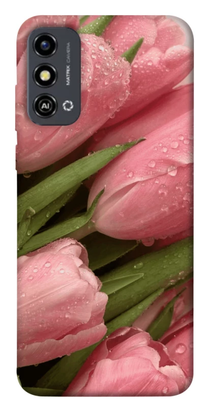 Чехол на ZTE Blade A53 Beauty фото 1 из 1