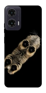 Чехол на Motorola Moto G35 Cat фото 1 из 1