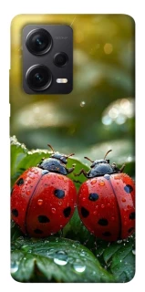 Чехол на Xiaomi Redmi Note 12 Pro 5G Flowers v23 фото 1 из 1