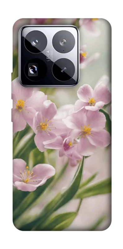 Чехол на Xiaomi 15 Pro Spring фото 1 из 1