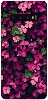 Чохол на Samsung Galaxy S10 Flowers v7 фото 1 з 1