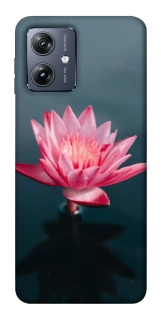 Чохол на Motorola Moto G54 Лотос фото 1 Чохол на Motorola Moto G54 Лотос фото 1 з 1