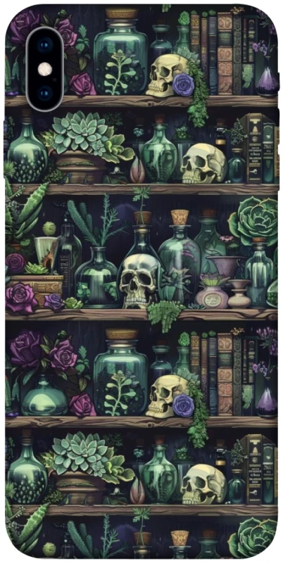 Чохол на Apple iPhone X (5.8") Bookshelf ver.1 фото 1 з 1