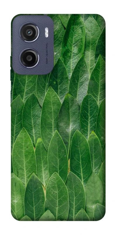 Чохол на Motorola Moto E15 Листя фото 1 з 1