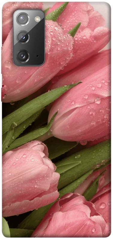 Чохол на Samsung Galaxy Note 20 Beauty фото 1 Чохол на Samsung Galaxy Note 20 Beauty фото 1 з 1