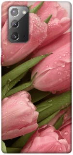Чохол на Samsung Galaxy Note 20 Beauty фото 1 Чохол на Samsung Galaxy Note 20 Beauty фото 1 з 1