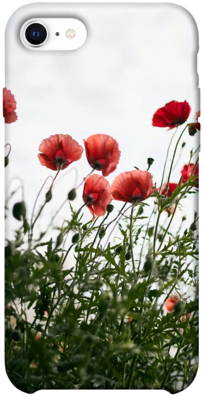 Чохол на Apple iPhone SE (2020) Поле маків фото 1 з 1
