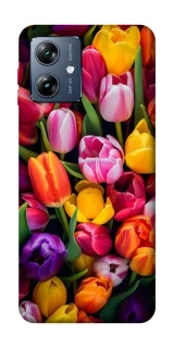 Чохол на Motorola Moto G54 Power Flowers v30 фото 1 з 1
