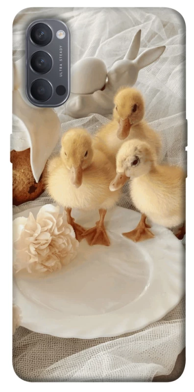 Чехол на Oppo Reno 4 Easter Vibes фото 1 из 1