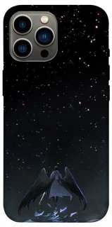 Чохол на Apple iPhone 12 Pro Max (6.7") Omniscient Reader's v4 фото 1 з 1