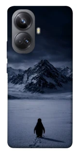 Чехол на Realme 10 Pro+ But why? фото 1 из 1