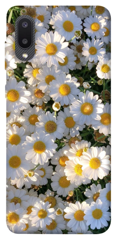 Чохол на Samsung Galaxy A02 Поле ромашок фото 1 з 1