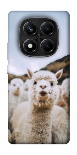 Чехол на Xiaomi Redmi Note 14 Pro 4G Лама фото 1 из 1