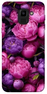 Чохол на Samsung J600F Galaxy J6 (2018) Garden2 фото 1 з 1