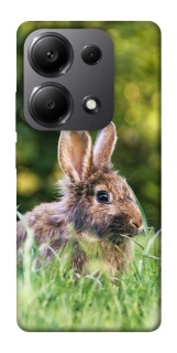 Чехол на Xiaomi Redmi Note 13 Pro 5G Кролики фото 1 из 1