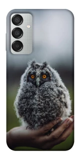 Чехол на Samsung Galaxy M15 5G Совёнок фото 1 из 1