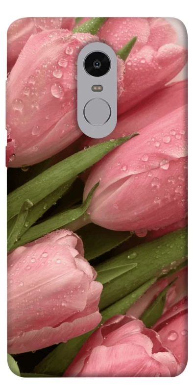 Чохол на Xiaomi Redmi Note 4X / Note 4 (Snapdragon) Beauty фото 1 з 1