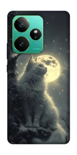 Чохол на Realme GT 7 Кіт під місяцем фото 1 з 1