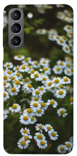 Чехол на Samsung Galaxy S21 Ромашки v13 фото 1 из 1