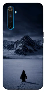 Чехол на Realme 6 Pro But why? фото 1 из 1