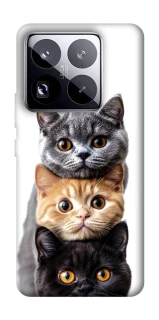 Чохол на Xiaomi 15 Pro Гарні котики фото 1 з 1