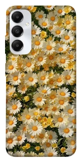 Чехол на Samsung Galaxy A05s Camomile фото 1 из 1