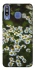 Чохол на Samsung Galaxy M30 Ромашки v13 фото 1 з 1