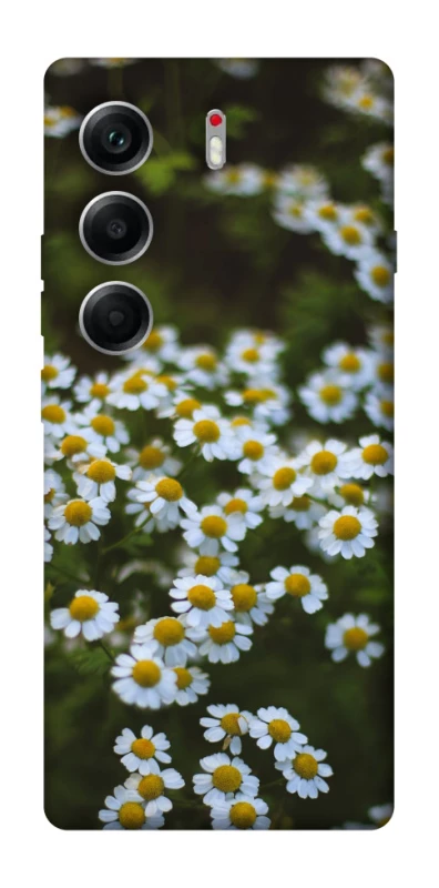 Чехол на Tecno Camon 40 Ромашки v13 фото 1 из 1