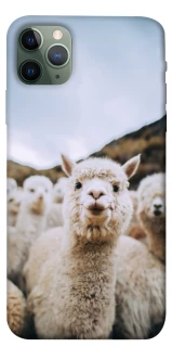 Чохол на Apple iPhone 11 Pro Max (6.5") Лама фото 1 з 1