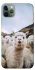 Чохол на Apple iPhone 11 Pro Max (6.5") Лама фото 1 з 1