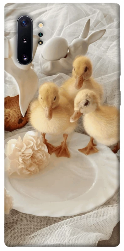 Чохол на Samsung Galaxy Note 10 Plus Easter Vibes фото 1 з 1