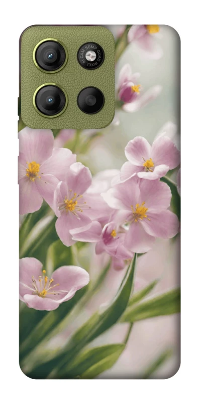 Чохол на Motorola Moto G15 4G Spring фото 1 з 1