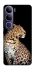 Чохол на Vivo Y300 Leopard v2 фото 1 з 1