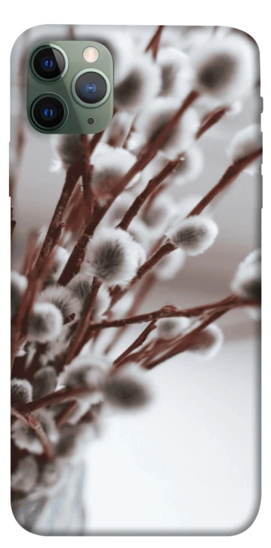 Чехол на Apple iPhone 11 Pro Max (6.5") Magic фото 1 из 1