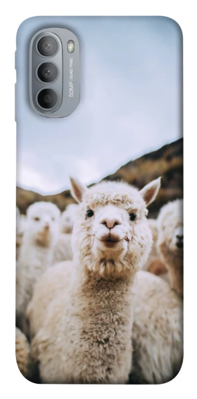Чохол на Motorola Moto G31 Лама фото 1 з 1