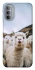 Чохол на Motorola Moto G31 Лама фото 1 з 1