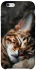 Чохол на Apple iPhone 6/6s (4.7") Cat paws фото 1 з 1