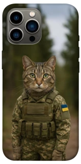 Чехол на Apple iPhone 12 Pro Max (6.7") Кот защитник фото 1 из 1