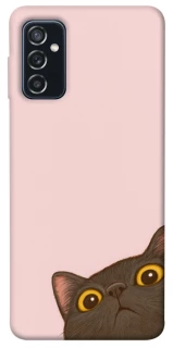 Чохол на Samsung Galaxy M52 Peeping cat фото 1 з 1