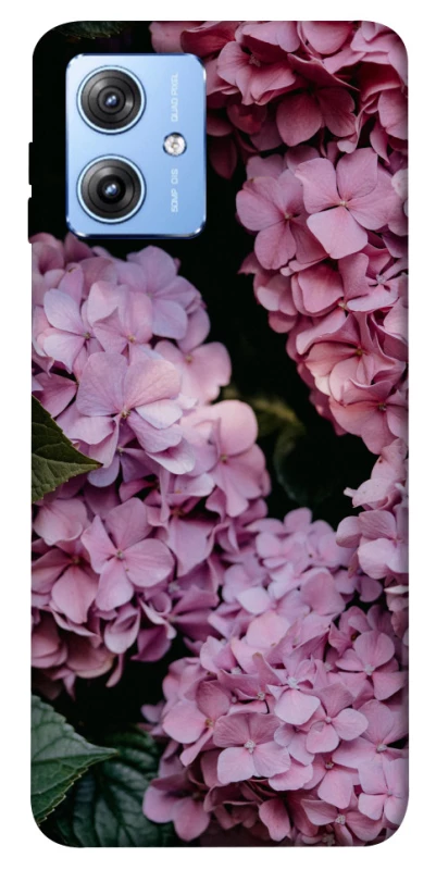 Чохол на Motorola Moto G84 Рожеві гартензії фото 1 з 1
