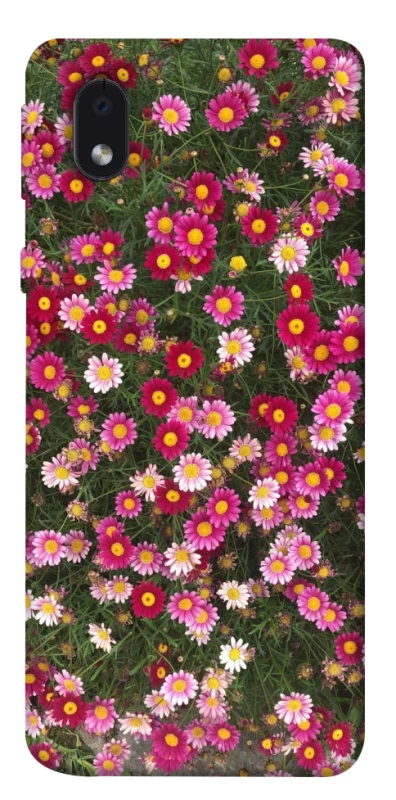 Чохол на Samsung Galaxy M01 Core / A01 Core Flowers v8 фото 1 з 1
