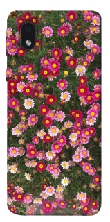 Чохол на Samsung Galaxy M01 Core / A01 Core Flowers v8 фото 1 з 1