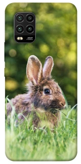 Чехол на Xiaomi Mi 10 Lite Кролики фото 1 из 1