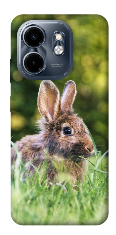 Чехол на Infinix Smart 9 4G / Hot 50i Кролики фото 1 из 1